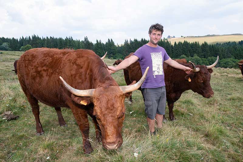 Producteurs et récoltants bio du Sancy