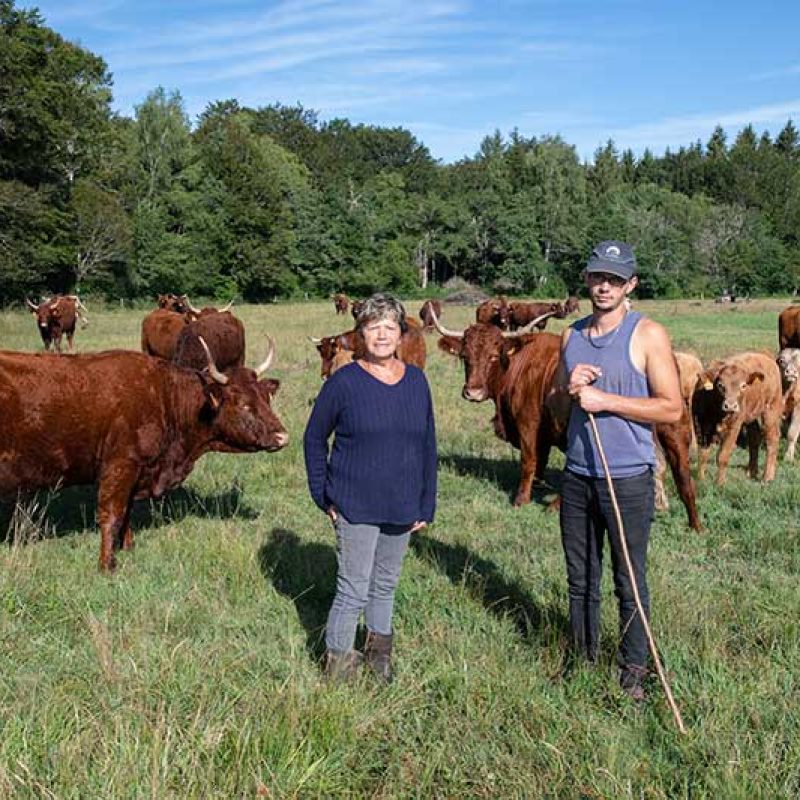 Producteurs et récoltants bio du Sancy