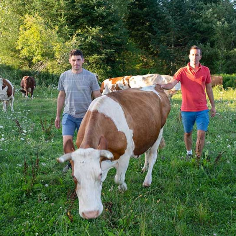 La ferme des terres Creuses