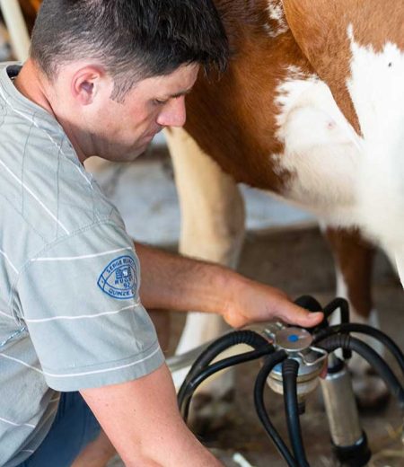 DAG-BIOMASSIF-FERME-TERRESCREUSES-44