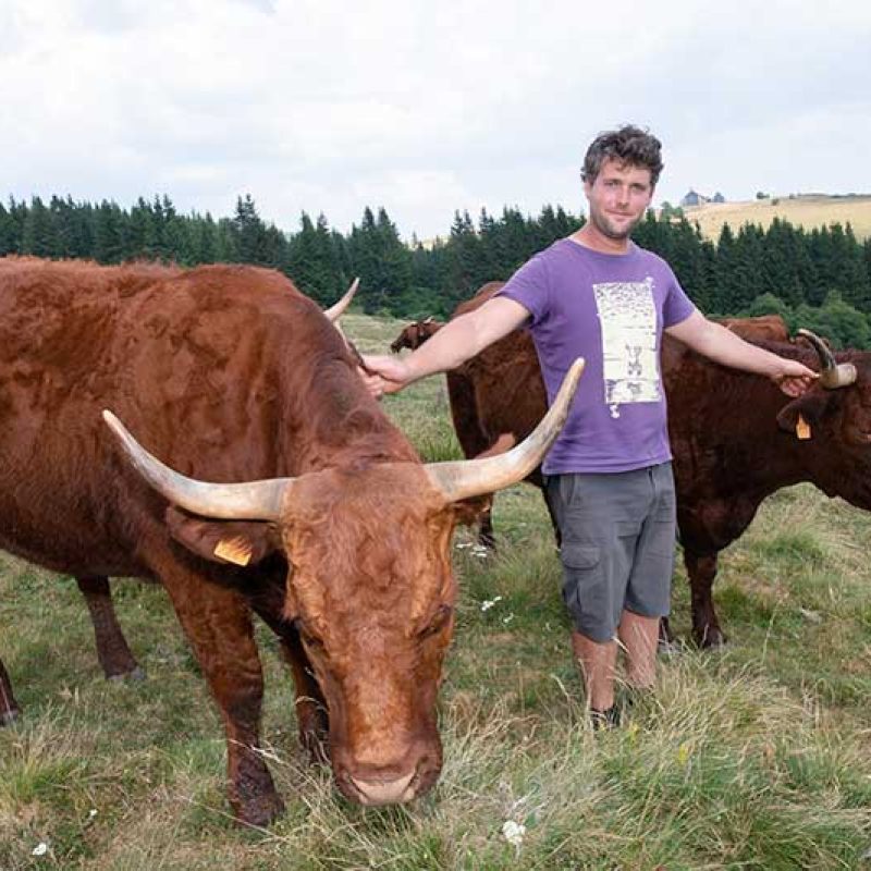 Producteurs et récoltants bio du Sancy